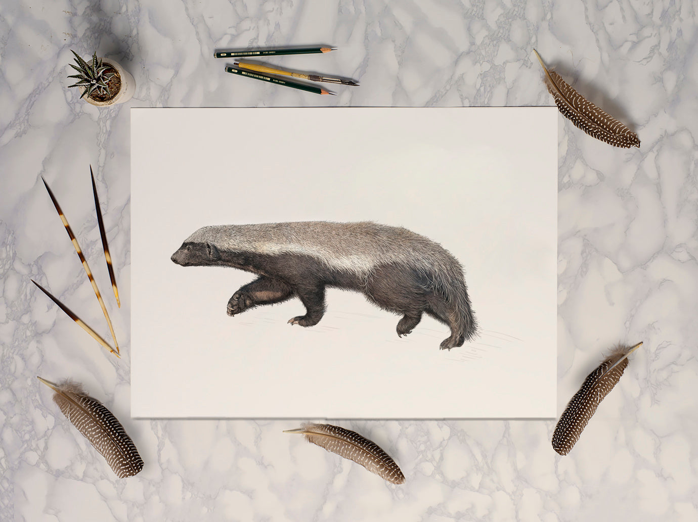 Honey Badger