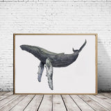 Humpback Whale