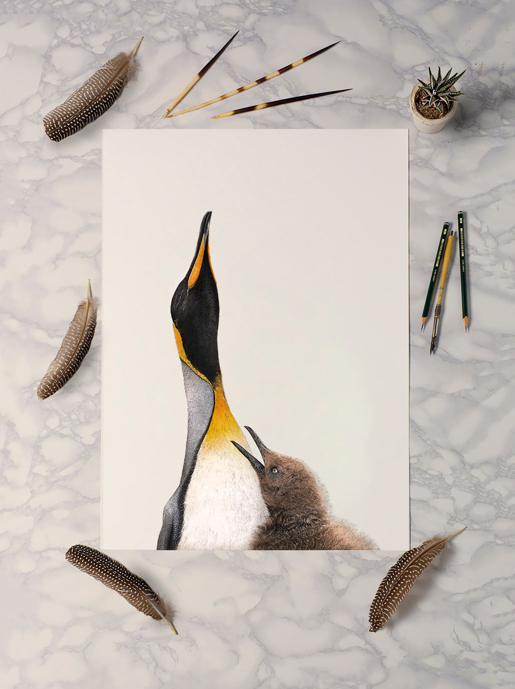 King Penguins