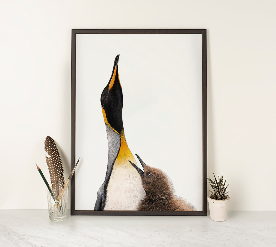 King Penguins