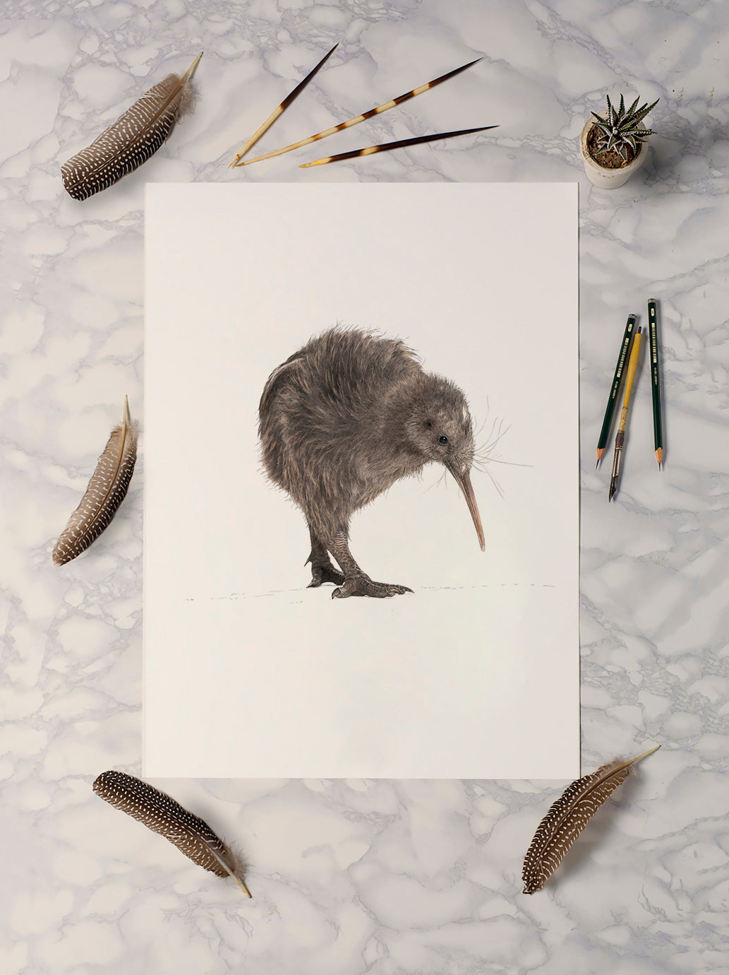 Brown Kiwi print - Reduced to clear