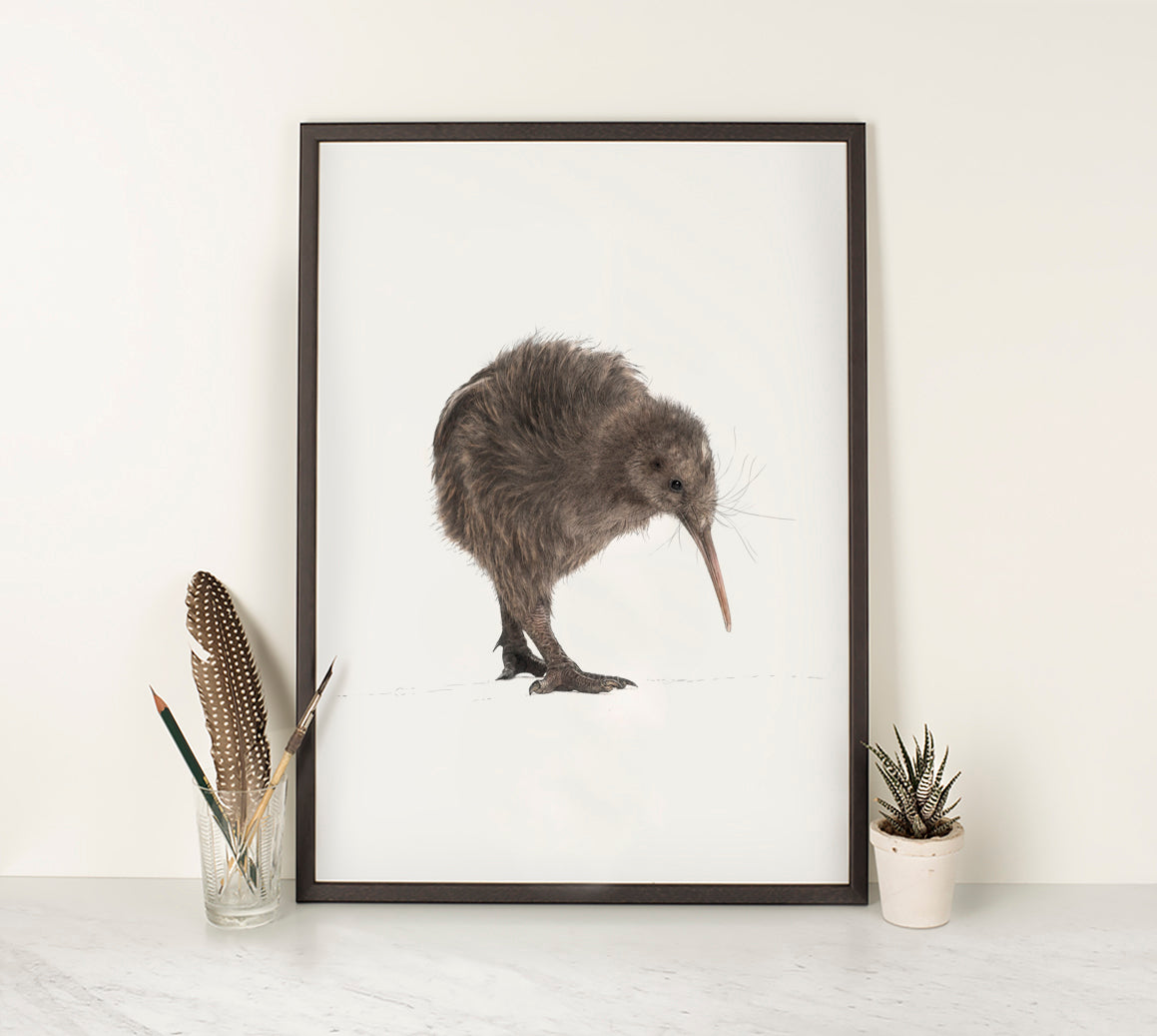 Brown Kiwi print - Reduced to clear