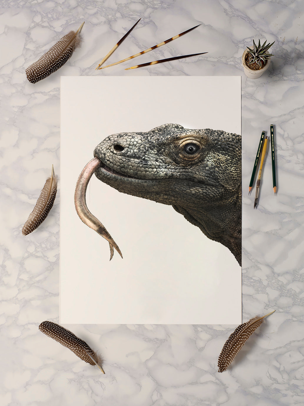 Komodo Dragon