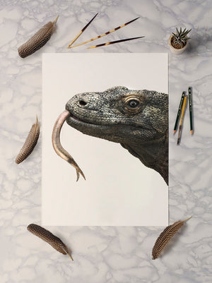 Komodo Dragon