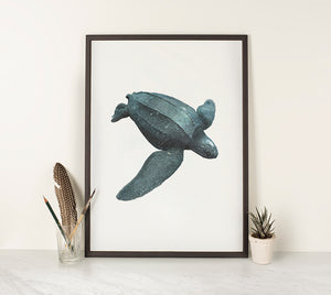 Leatherback Turtle