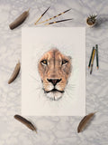 African Lion (Portrait)