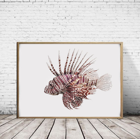 Red Lionfish