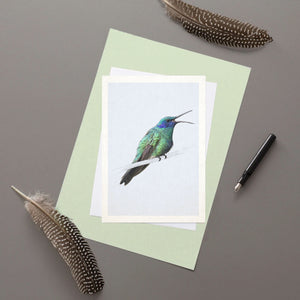 Sparkling Violetear Hummingbird - Greeting Card