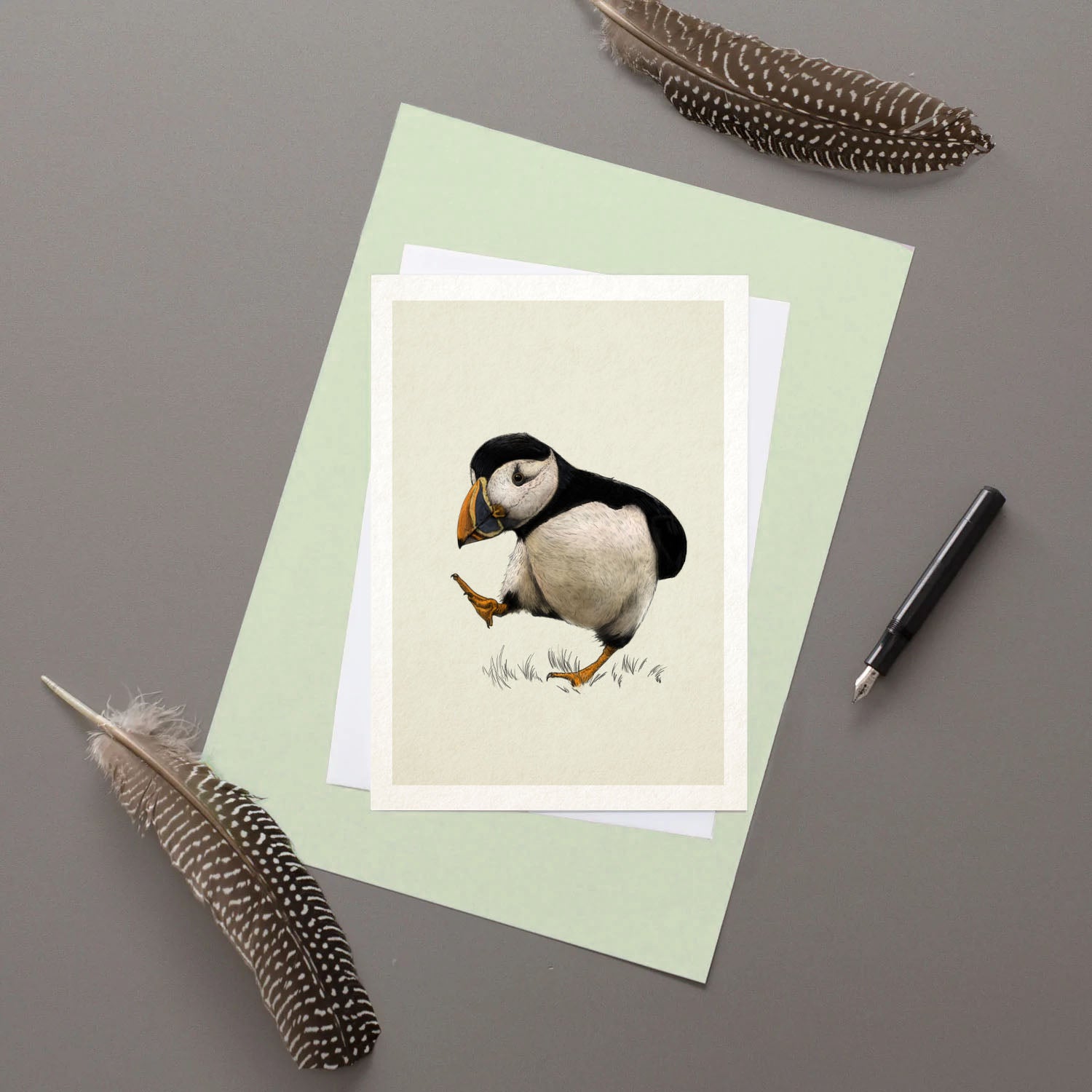 Puffin - Greeting Card