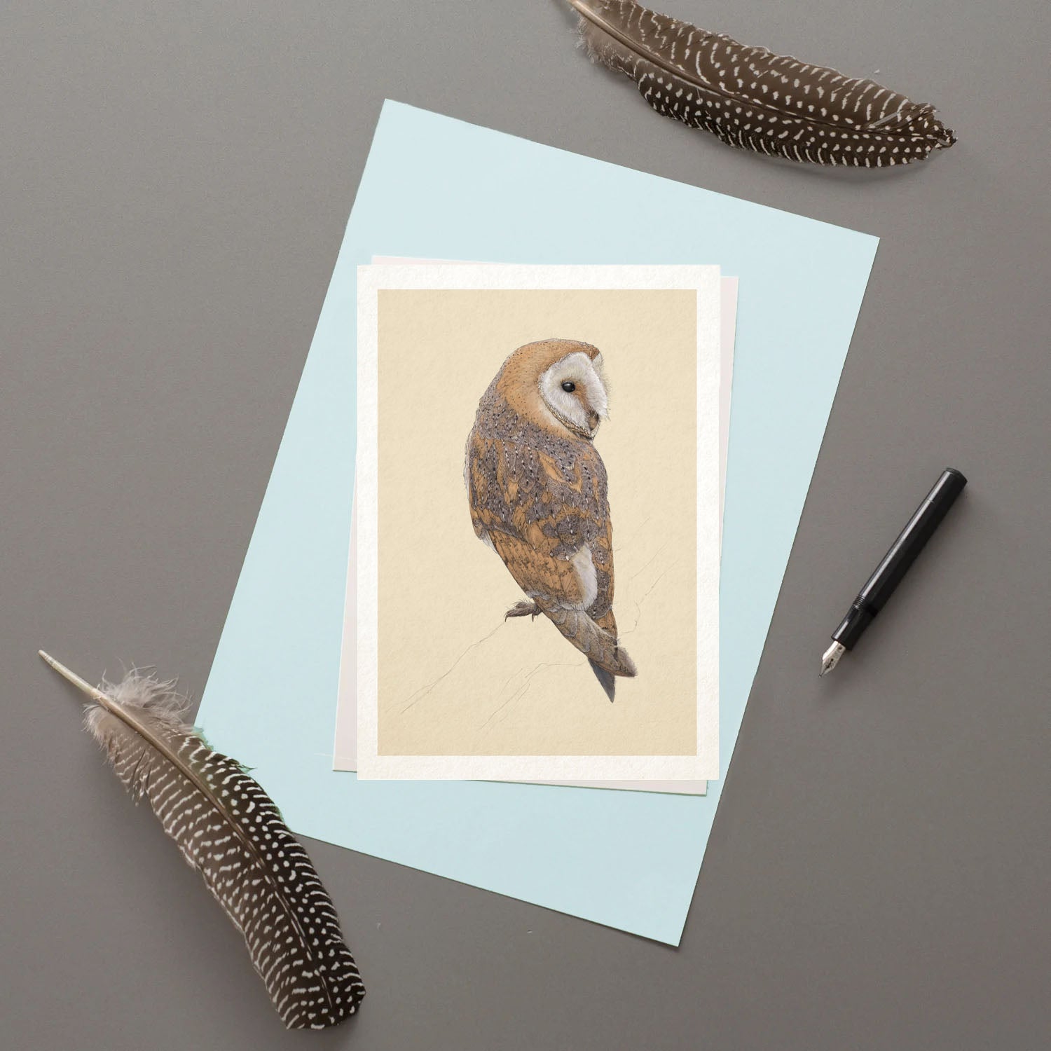 Barn Owl - Greetings Card