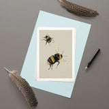 Bumblebees - Greeting Card