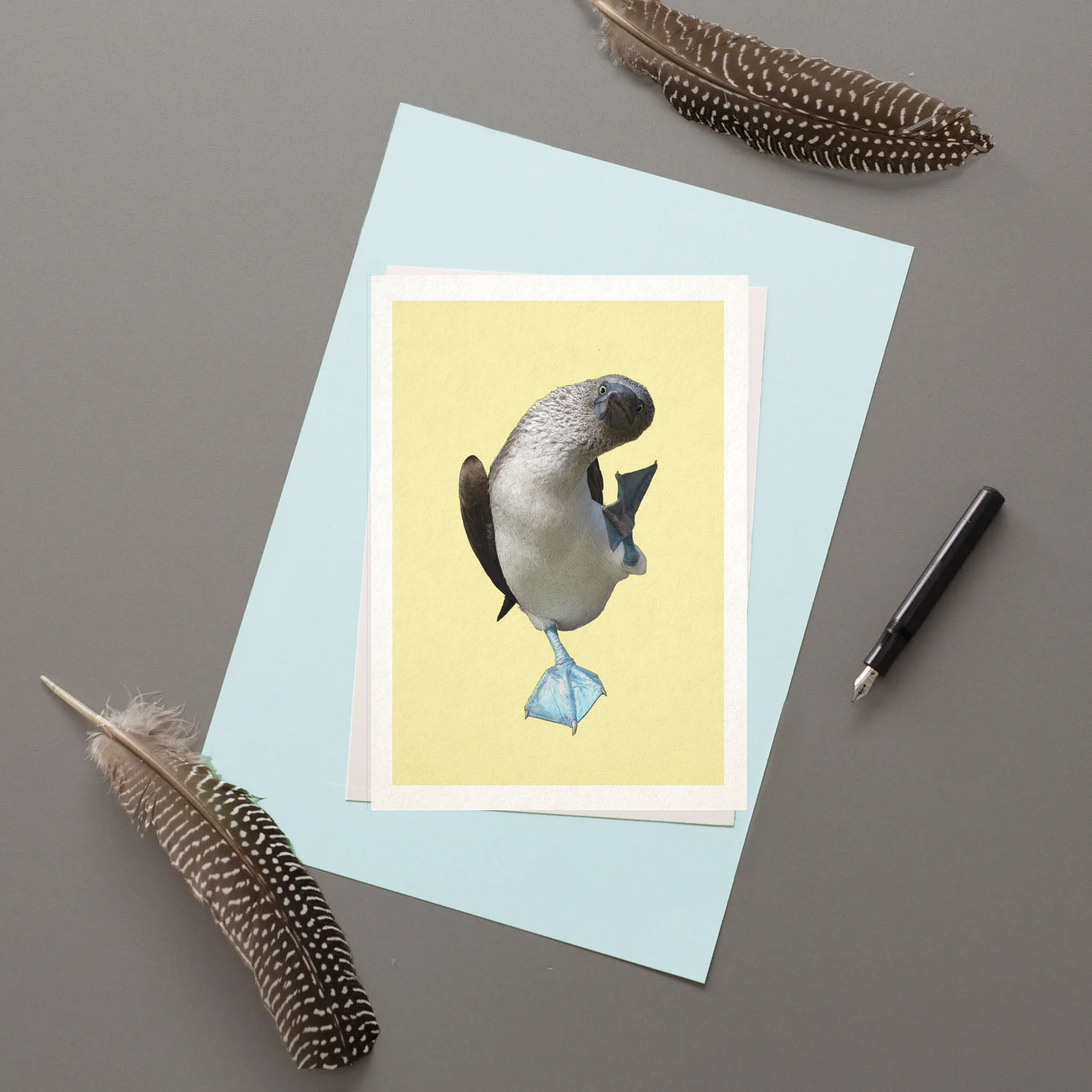 Blue Footed Booby - Greeting Card