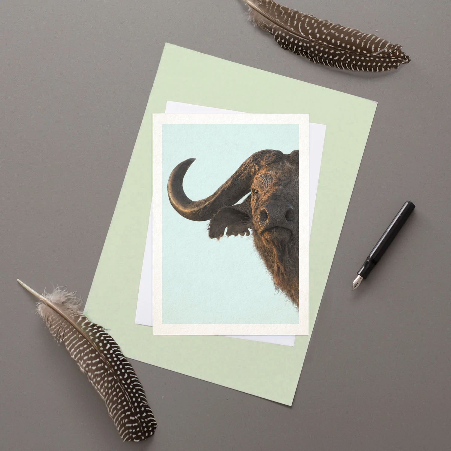 Cape Buffalo - Greeting Card