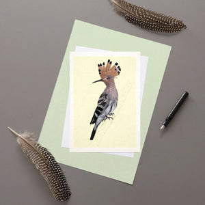 Hoopoe - Greeting Card