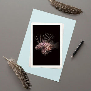 Red Lionfish - Greeting Card