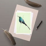 Malachite Sunbird - Greeting Card