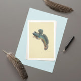 Mudskipper - Greeting Card