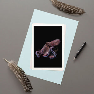 Octopus - Greeting Card