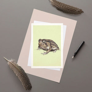 Namaqua Rainfrog - Greeting Card