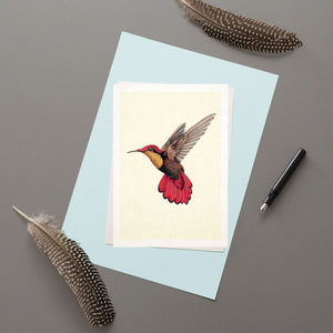 Ruby Topaz Hummingbird - Greeting Card