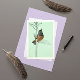 Collared Sunbird - Greeting Card