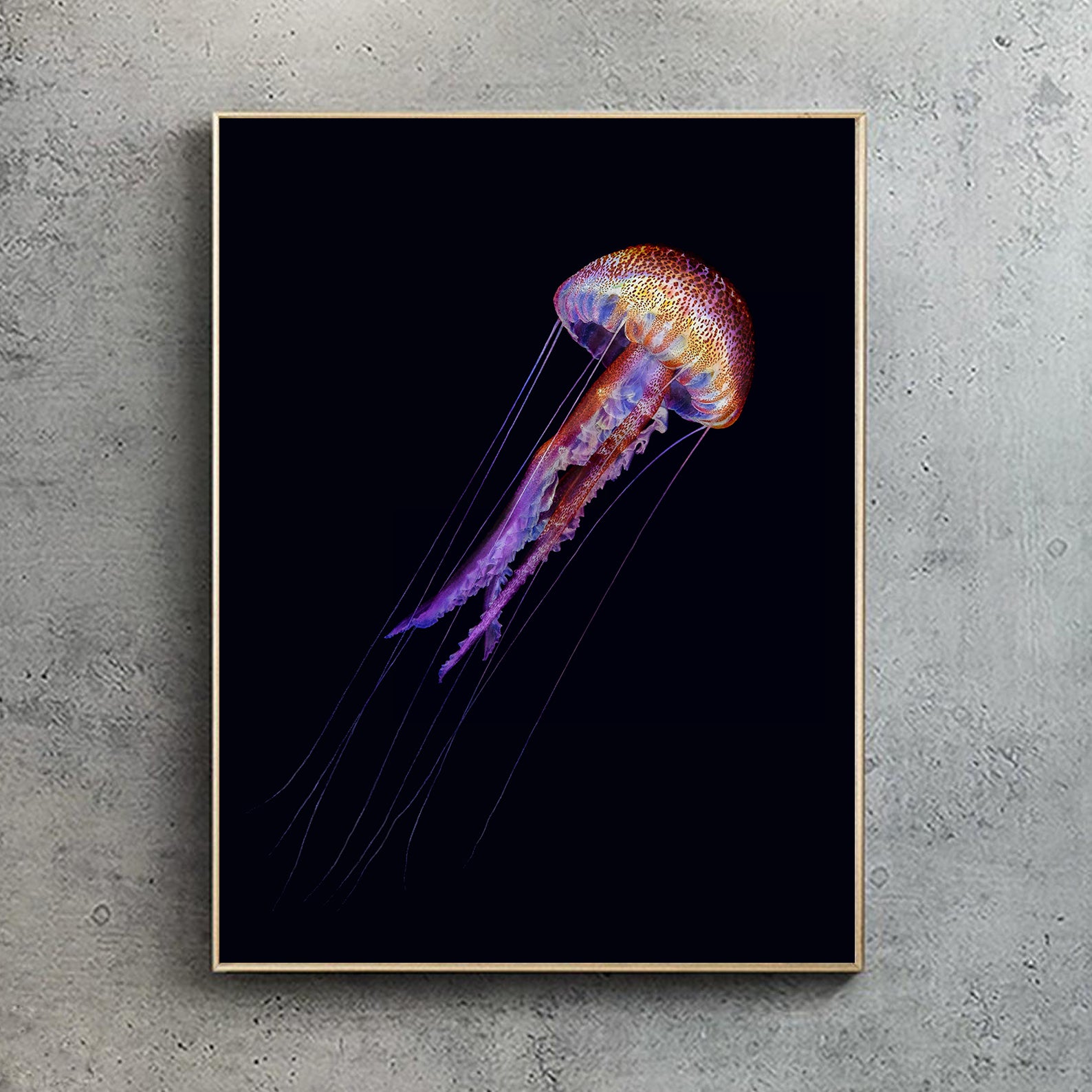Pelagia Noctiluca Jellyfish
