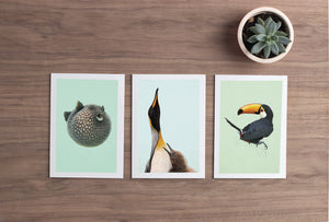 King Penguins - Greeting Card