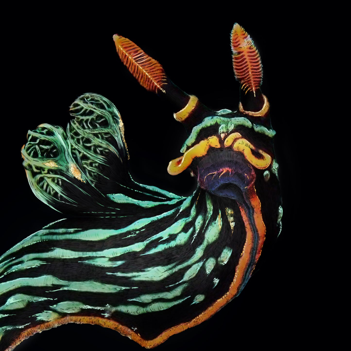 Nembrotha Nudibranch