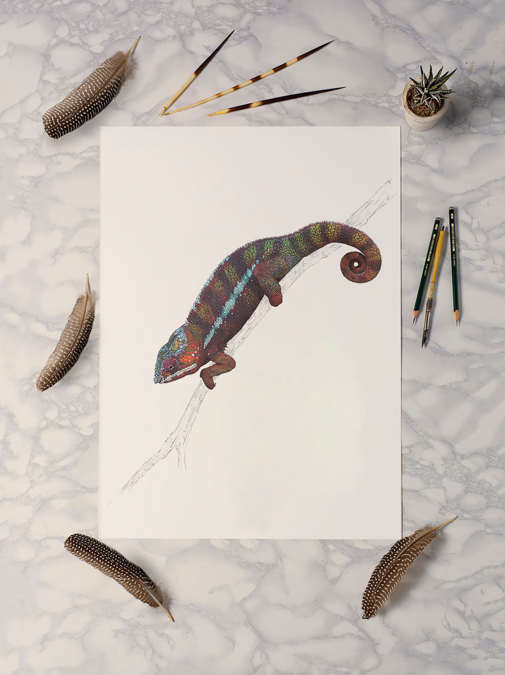 Panther Chameleon