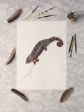 Panther Chameleon