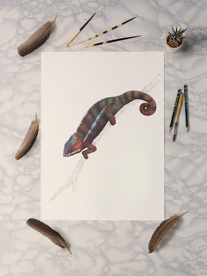 Panther Chameleon