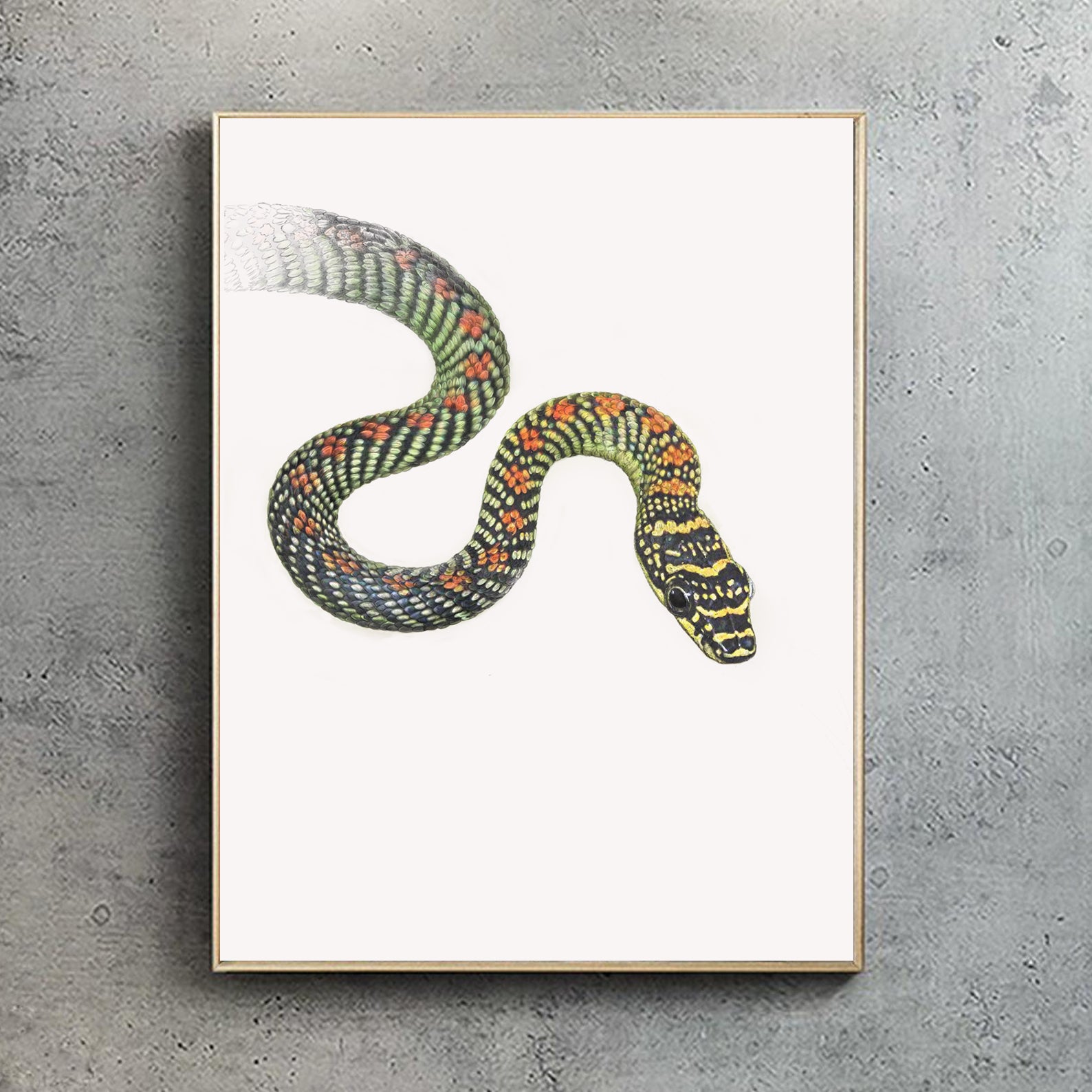 Paradise Flying Snake