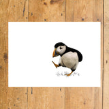 Atlantic Puffin Landscape