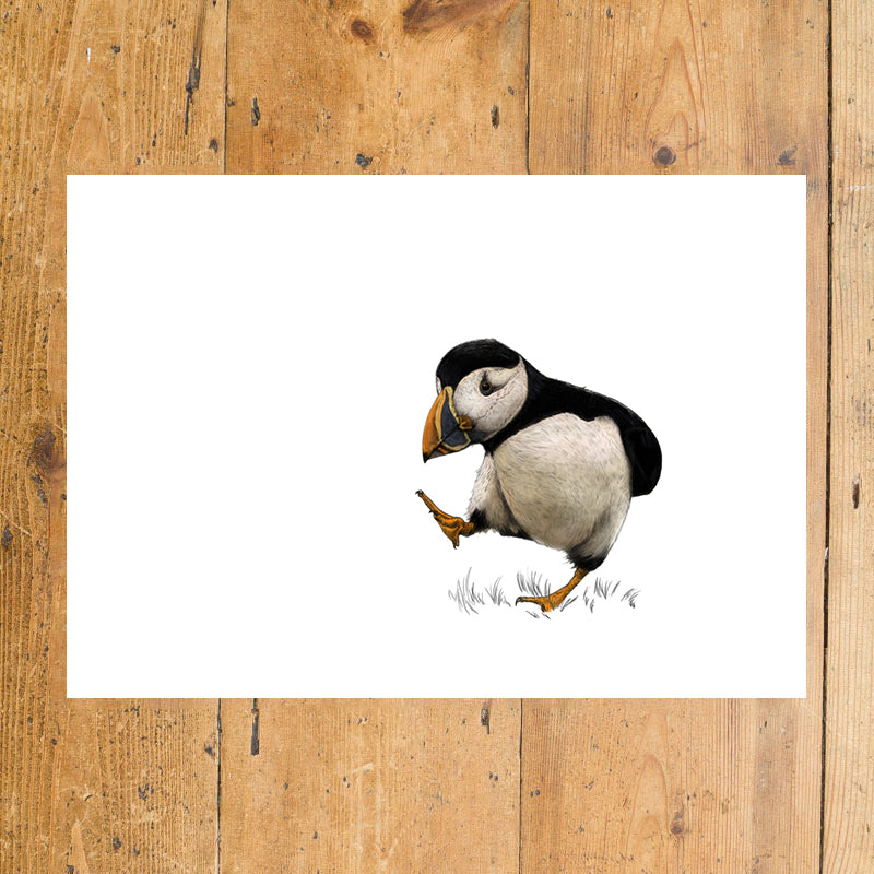 Atlantic Puffin Landscape