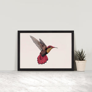 Ruby Topaz Hummingbird