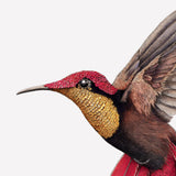 Ruby Topaz Hummingbird 2