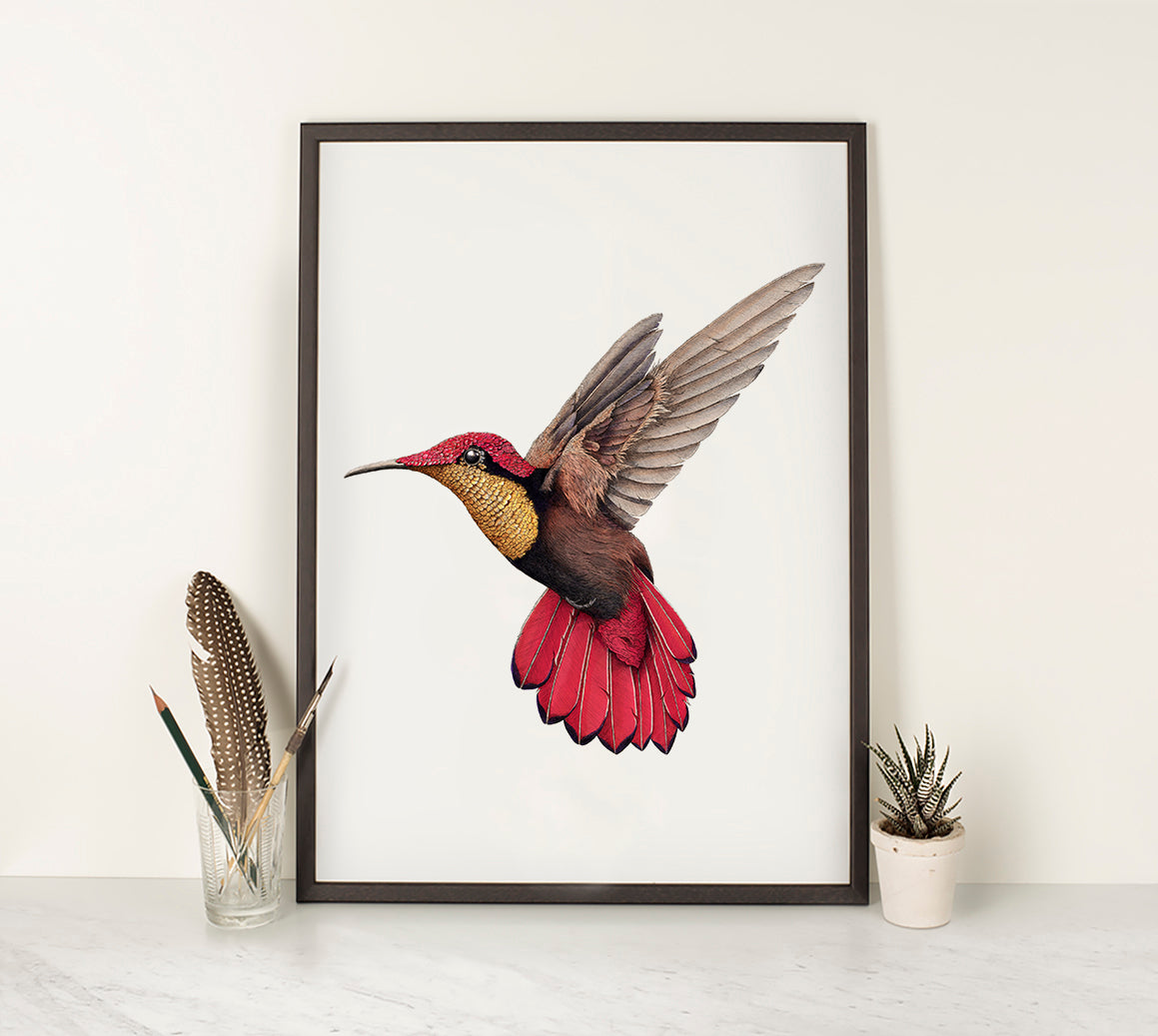 Ruby Topaz Hummingbird 2