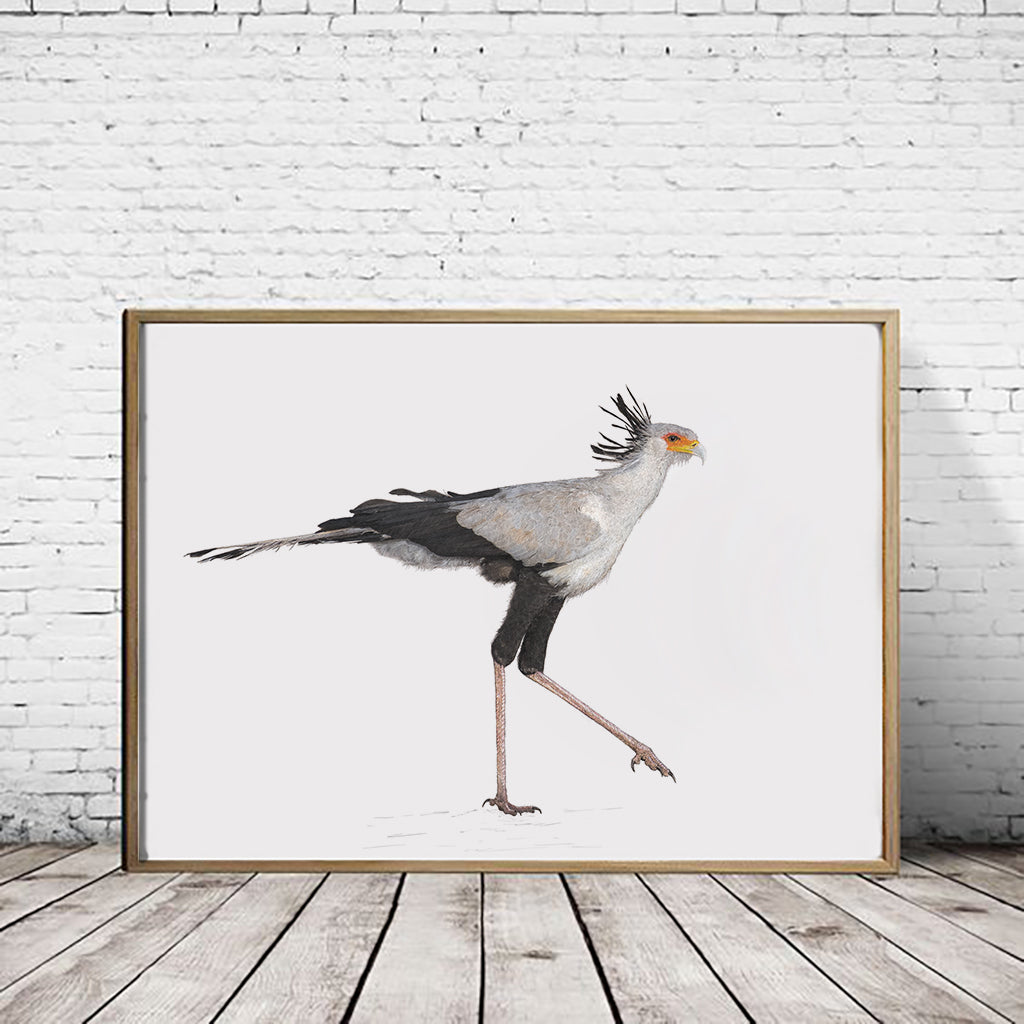 Secretary Bird