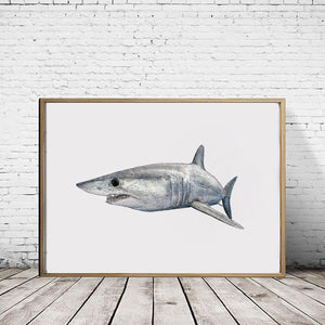 Shortfin Mako Shark