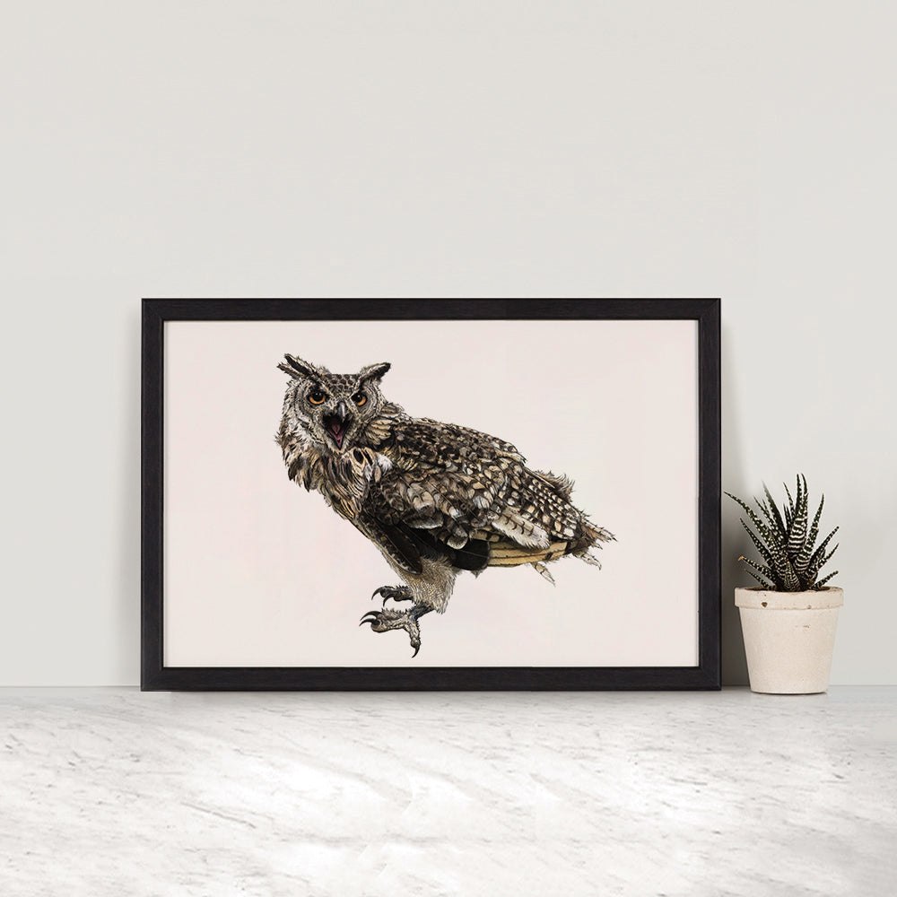 African Eagle Owl Print
