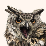 African Eagle Owl