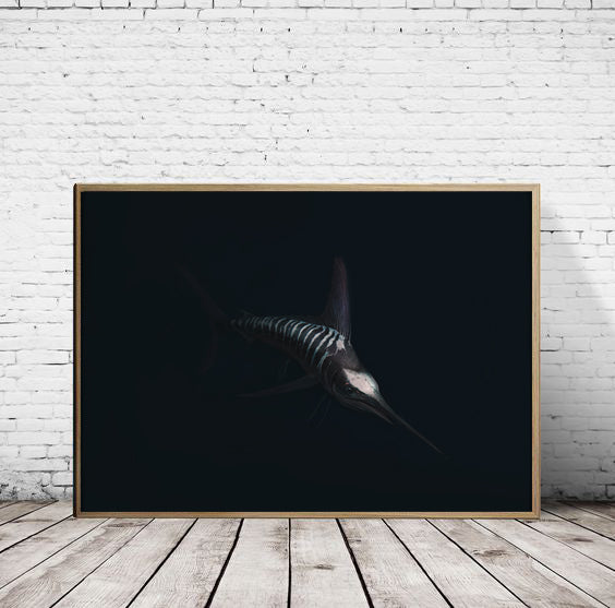 Striped Marlin Black edition