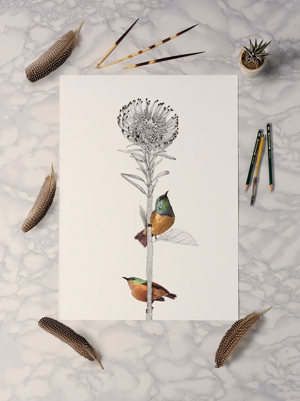 Sunbirds