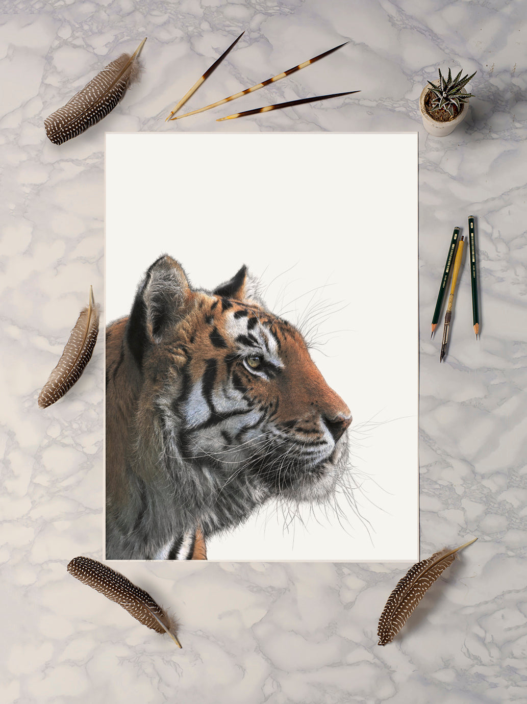 Bengal Tiger