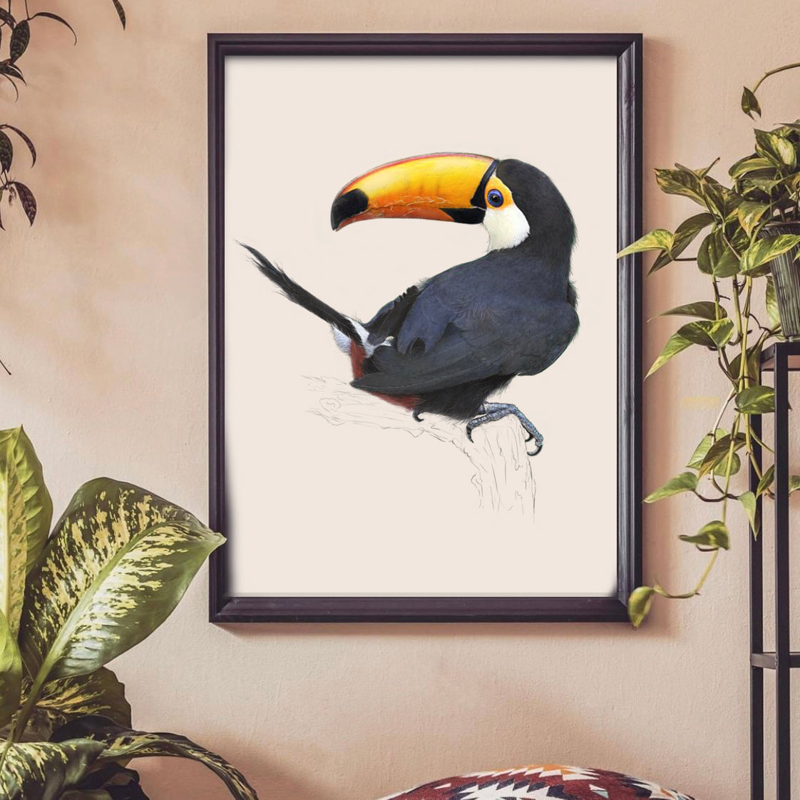 Toco Toucan