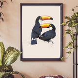 Toco Toucans