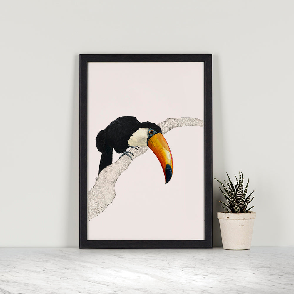 Toco Toucan Print V1 - Reduced to Clear