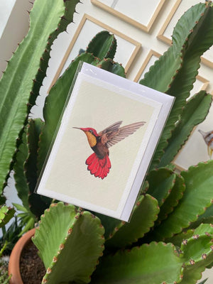 Ruby Topaz Hummingbird - Greeting Card