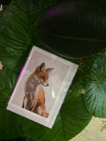 Fox - Greeting Card