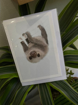 Two-toed Sloth  - Greeting Card